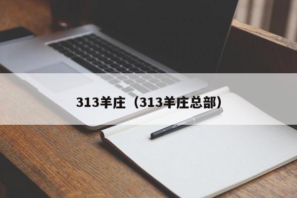 313羊庄（313羊庄总部）