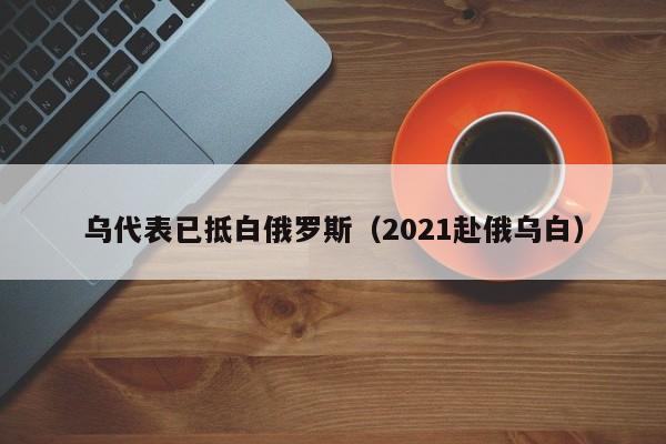 乌代表已抵白俄罗斯（2021赴俄乌白）