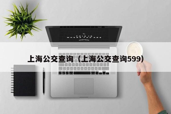 上海公交查询（上海公交查询599）