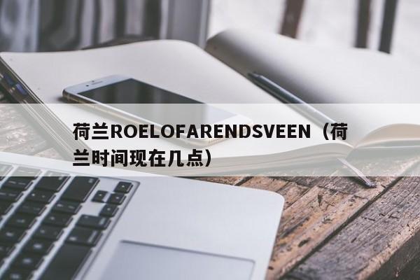 荷兰ROELOFARENDSVEEN（荷兰时间现在几点）