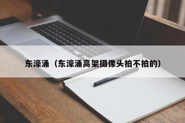 东濠涌（东濠涌高架摄像头拍不拍的）